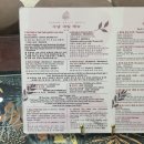 수남 | 호이안 수남네일 두번째 방문 후기 예약 그라데이션 네일