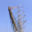 신항사