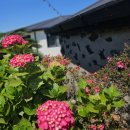 경소하라하우스 이미지