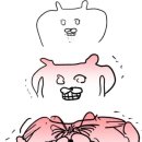 매점수가