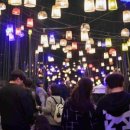 대숲속으로 이미지