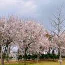 옥동근린공원 이미지