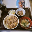 타이슨짐 | 두번째 혼자여행 후쿠오카 3일차, 텐진 효탄스시 본점후기, 쇼핑스팟, 나카스강 포장마차, 멘야타이슨