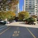 샘마을쌍용 이미지