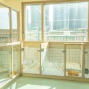 퍼피쿼터스 이미지