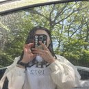 백양산 등산로 | 등산 일기 | 부산 백양산 봄 등산 추천 (애진봉 철쭉 군락지, 정상 코스, 소요 시간)