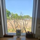 스테이수채화 이미지