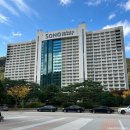 시오크 | 아기랑 국내여행 추천 소노벨 비발디파크 b 스위트 15층 오크 객실 후기