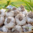 삼화농장 이미지