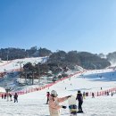 벨PC | 홍천 소노벨 비발디파크 패밀리 객실 부대시설 스키장 강원도 리조트 추천