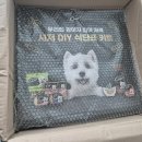 [Cesar]시저 DlY식단표 키트 체험단후기🐕