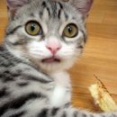 홍양(주) 이미지