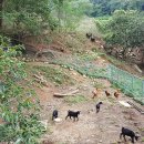 신답농장 이미지