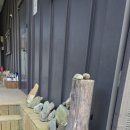 신촌지락 이미지