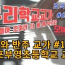 부영초등학교 앞 네이버블로그