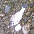 왕숙천 자전거도로6 이미지