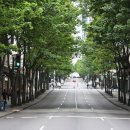 압구정로12길(가로수길) 이미지