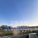 판교풍경채제일공인중개사사무소 | [공지] 고등동 제일풍경채와 판교호수공원(가칭)