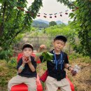 홍이네농장 이미지