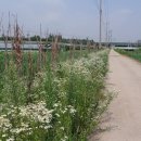 대밖낚시터 이미지