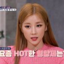 스타일 미