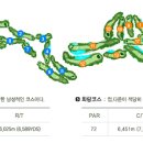 경주신라컨트리클럽골프연습장 이미지
