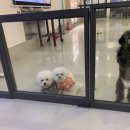 루트231 유치원 & 호텔 이미지