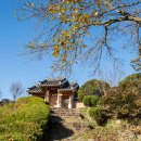 단군전 역사공원 이미지