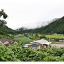 하추리산촌마을 이미지