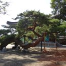 단월약국 이미지