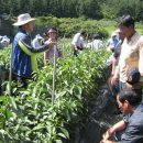 경북농업기술원 영양고추시험장 이미지