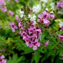 김원삼행정사사무실 이미지