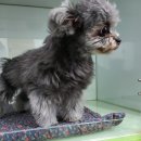 아이러브 동물병원 이미지