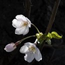 하이파크로 이미지