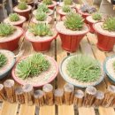 우암농장 이미지