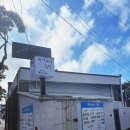 함덕파란집 | [조천 밥집 추천] 국물 한입에 반함… 제주 도민이 다녀온 박여사네 후기