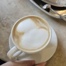 뜰 플라워디저트카페 | 창원 가로수길 꽃한송이 선물로 주는 카페 초코무스디저트 맛집 '페탈옹트라쎄 플라워카페'