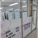 용인대 매화태권도 이미지