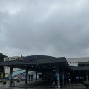 씨유수원숭죽점 | 하이원 워터월드 골드시즌 방문후기 할인 및 대여정보 준비물 대기시간 주차 꿀팁