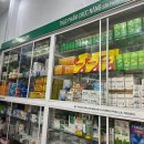 용치 | 18개월 아기랑 다낭 (5) - 와파이포 무료셔틀->다낭 G8럭셔리호텔, 시내구경