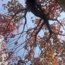 캠핑장 | 우이동 가족 캠핑장 후기