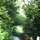 포유펜션 이미지