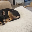 스테이숨 이미지