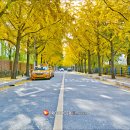 당현천산책로 이미지