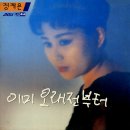 다시 사랑하게 된다면 / 정재은 (1991) 이미지