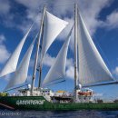 제로인터내셔널 이미지