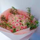 고운햇살플라