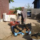 선후농장 이미지