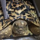 황오시당구장 이미지