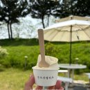 나라애견 | [5/1-5/3 2박 3일 강릉여행] 강아지와 함께하는 강원도 여행 코스 추천